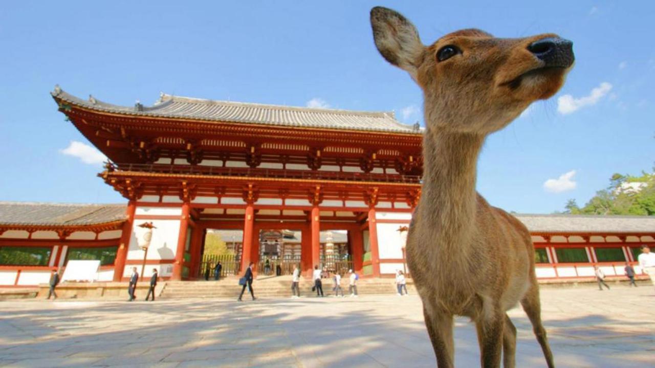 中川西 地下鉄今里駅一戸建 Samurai House Guest House Imazato 難波直通 最大7名 Осака Екстериор снимка